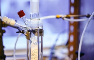 凝胶型聚氨酯催化剂的储存稳定性与环境友好性考量