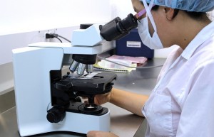 针对南方潮湿环境开发的聚氨酯泡沫湿热老化助剂能有效延长成品使用年限