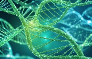 聚氨酯泡沫表皮增厚剂在太阳能热水器保温层生产中防止表面气泡及凹陷的作用