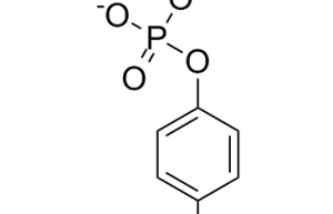 4-硝基苯基磷酸二钠 六水合物