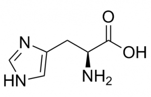 L-组氨酸