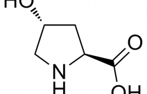 反式-4-羟基-L-脯氨酸